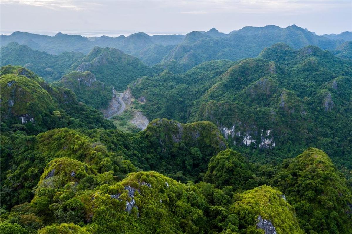 Lan Ha Bay Photo 2