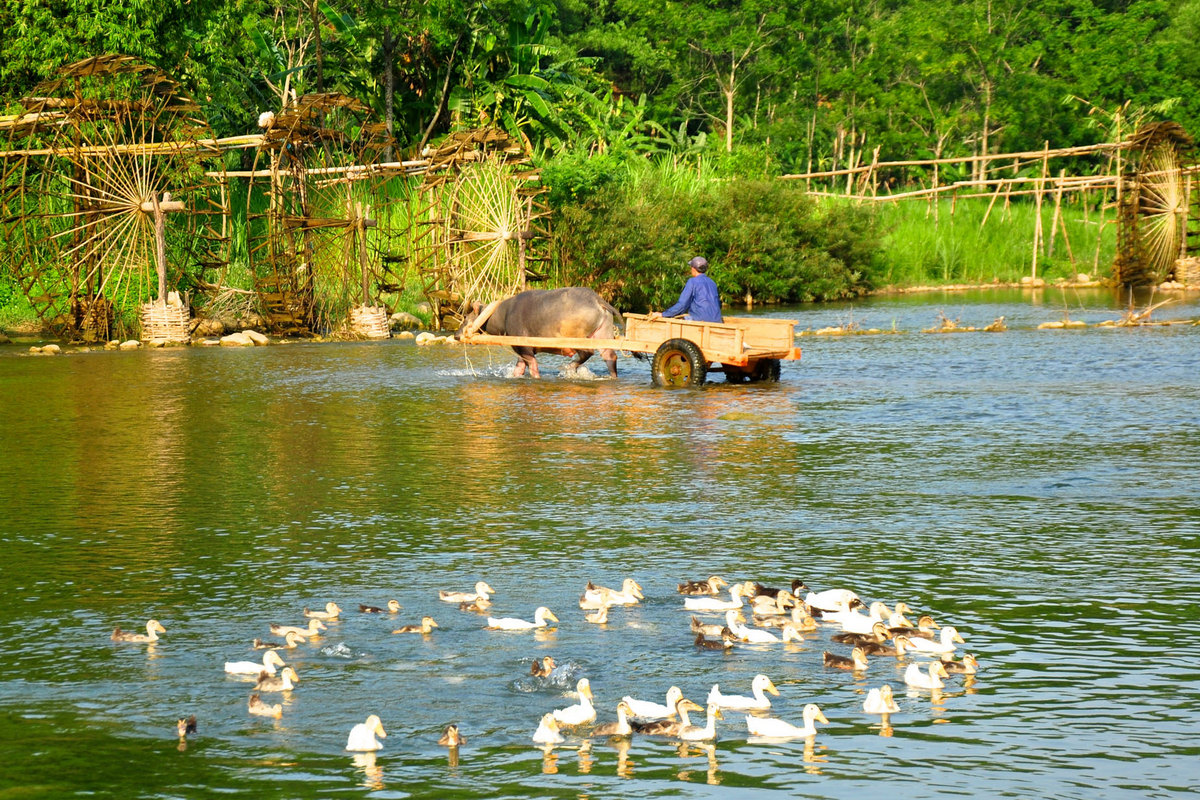 Pu Luong Short Trek (B/L/D) Photo 2