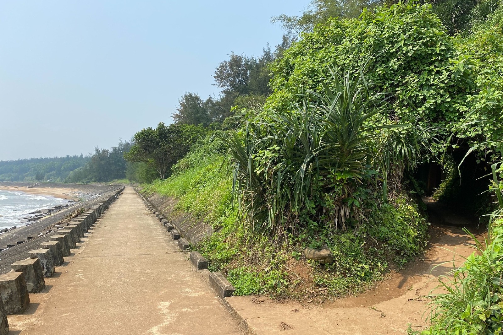 Dong Hoi – Vinh Moc Tunnels – Hien Luong Bridge – Transfer to Hue Photo 3
