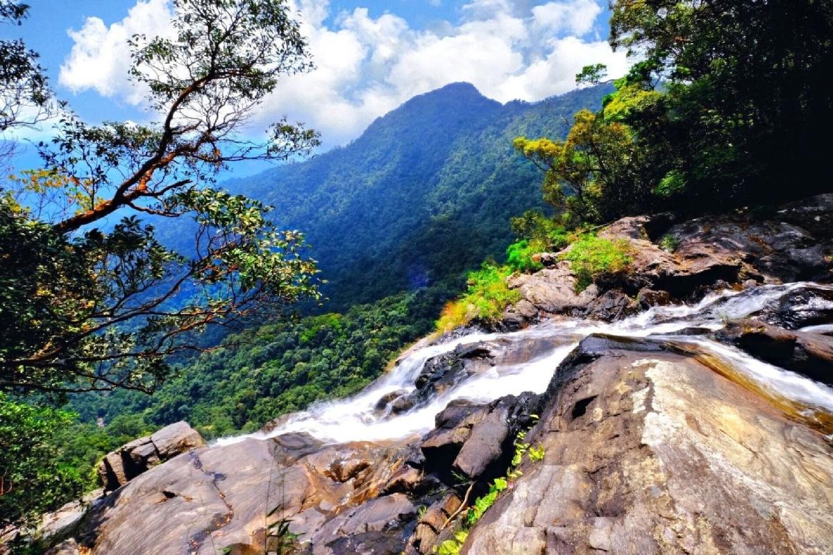 Bach Ma Hiking Full Day Tour with Waterfalls & Summit Views Photo 1