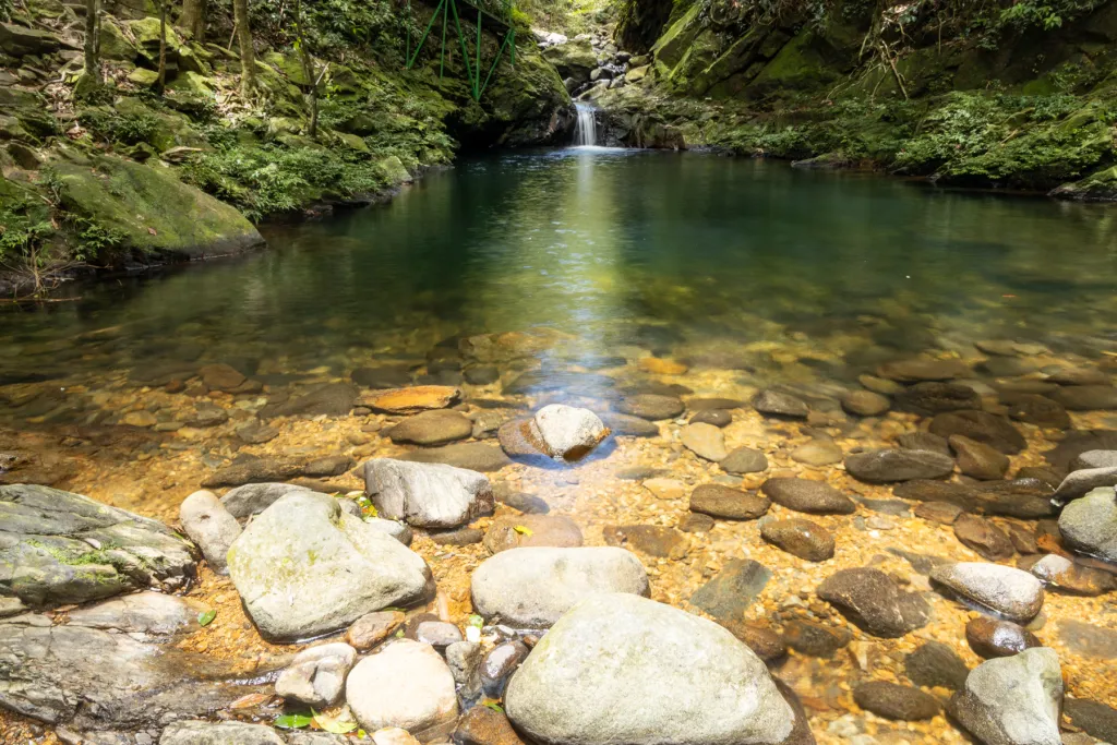Bach Ma Hiking Full Day Tour with Waterfalls & Summit Views Photo 1