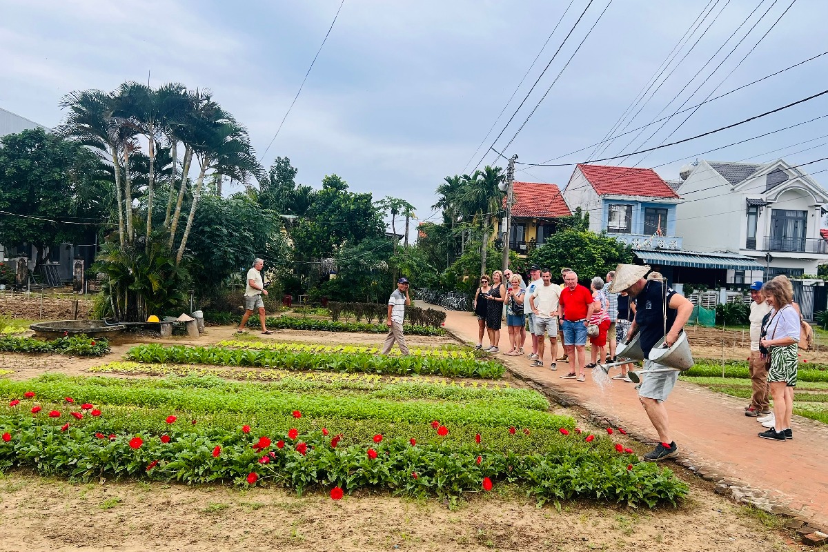 A Day In Tra Que & Timeless Hoi An Photo 1