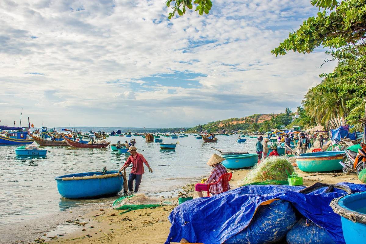 Mui Ne - Ho Chi Minh City Photo 3