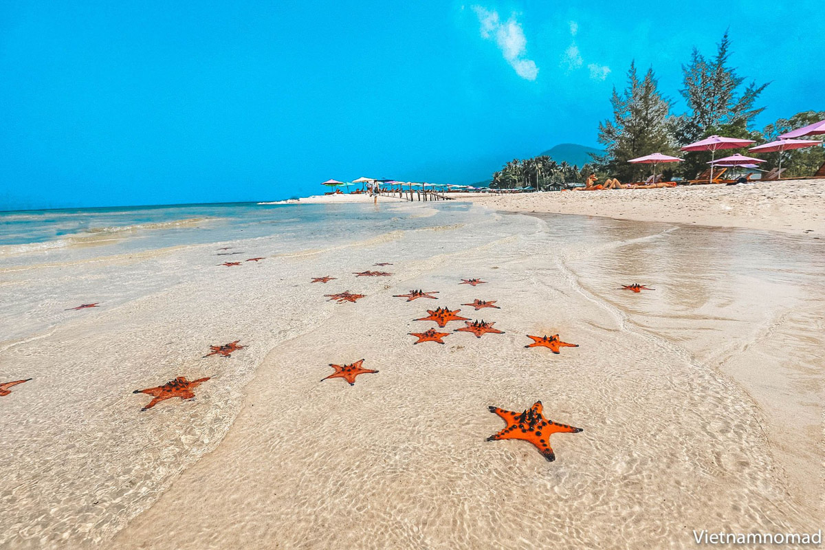 Fascinating Southern Phu Quoc Tour – 1 Day  Photo 1