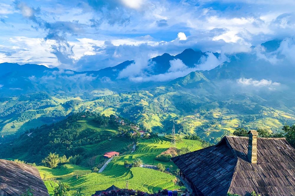 Sapa