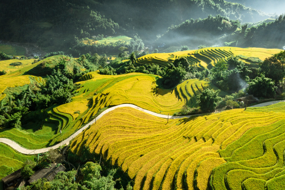 Highland Northwest Vietnam Tour 7 Days