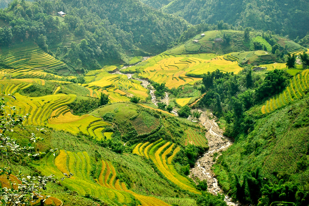 What to Do in Sapa: A Highlights Guide for First-Timers