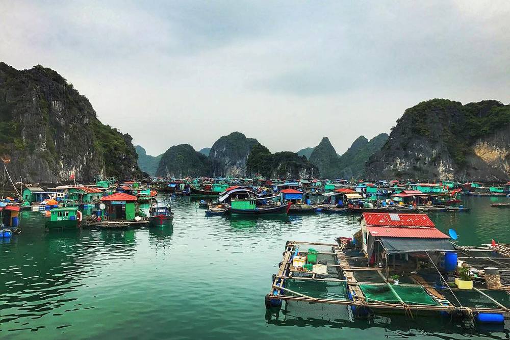 Cua Van Floating Village