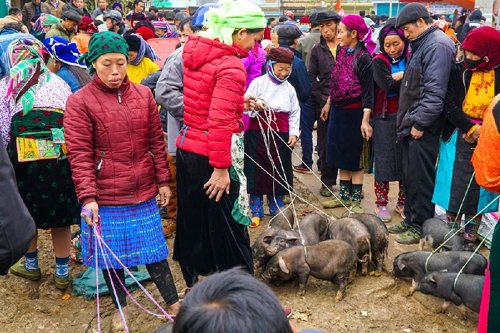 Visiting the Dong Van Sunday Market