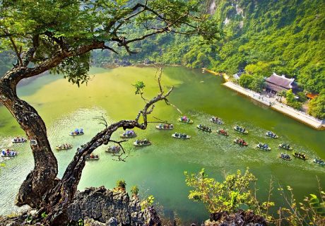 Ninh Binh Heritage Tour 2 Days